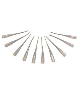 pointes de colle