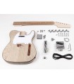 Kit guitare Boston TE-45