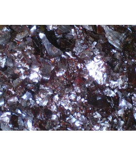Schellack Garnet