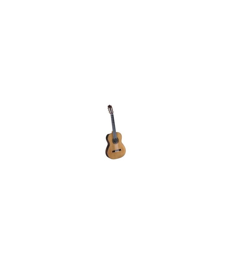 Acoustic guitar