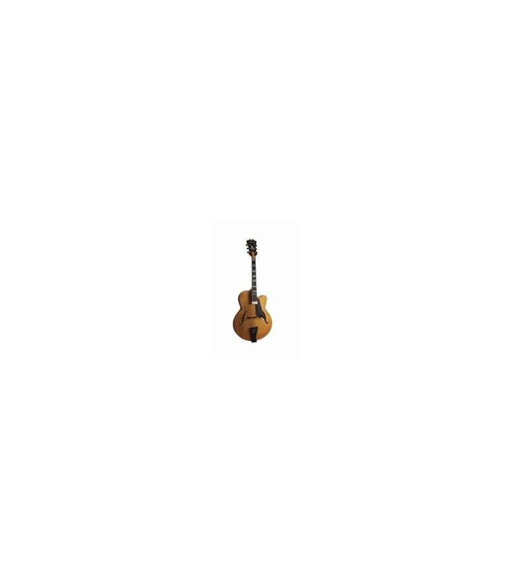 Guitare archtop